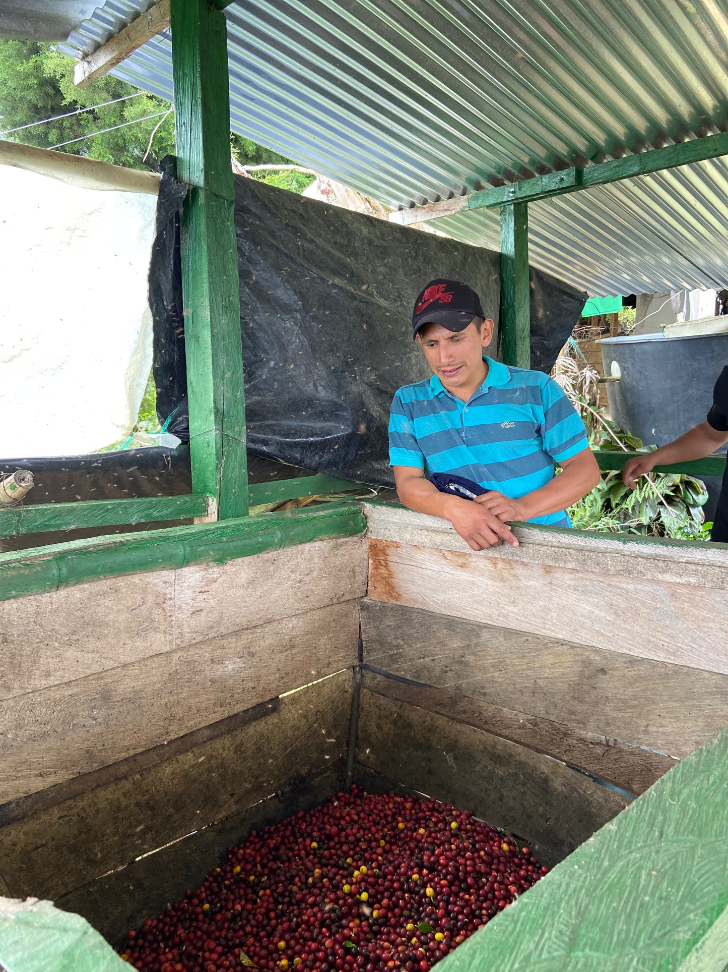 MK-24-59 GILDARDO ORTEGA