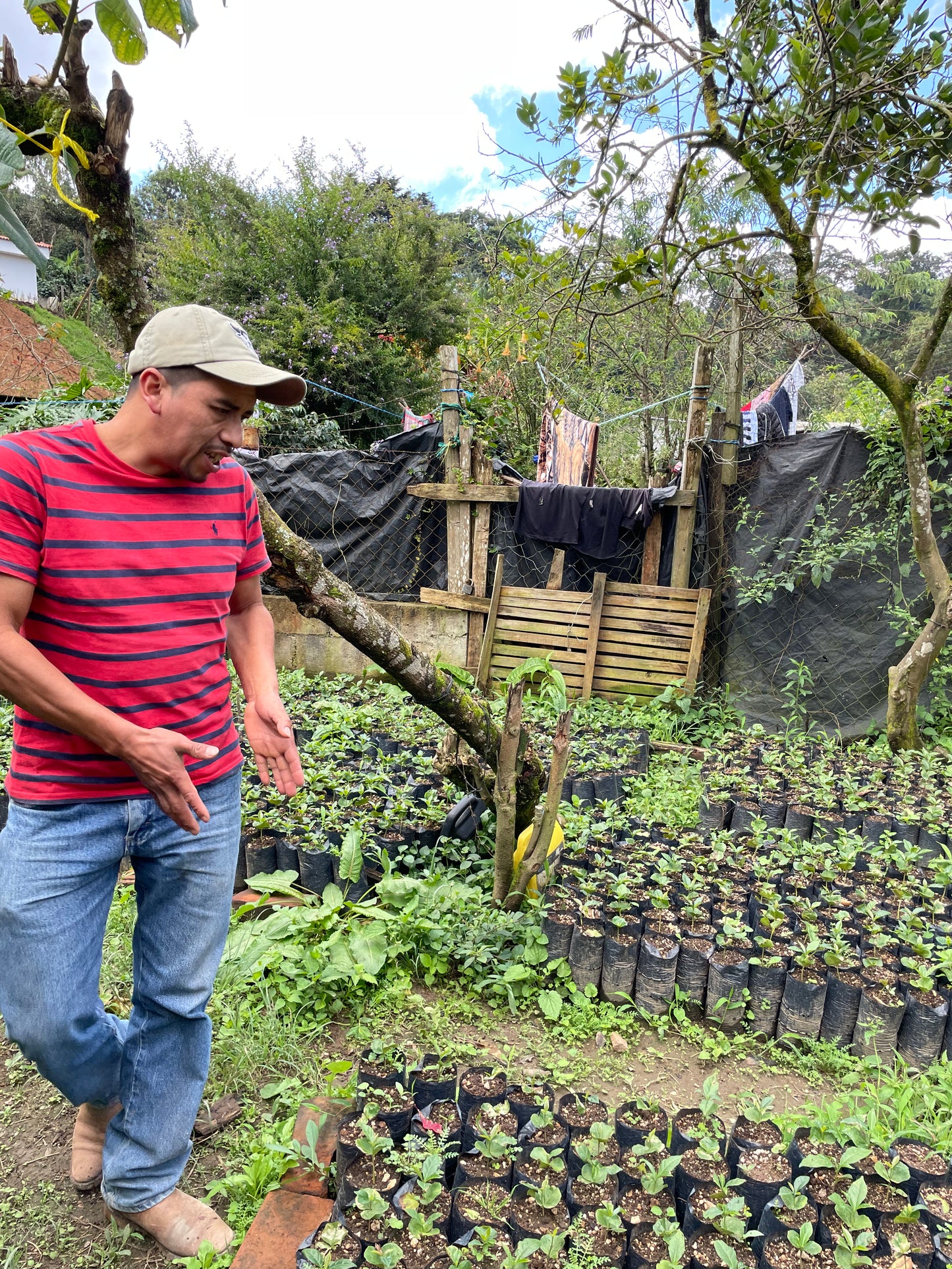 MA-25-09 RANDOLFO PACHECO