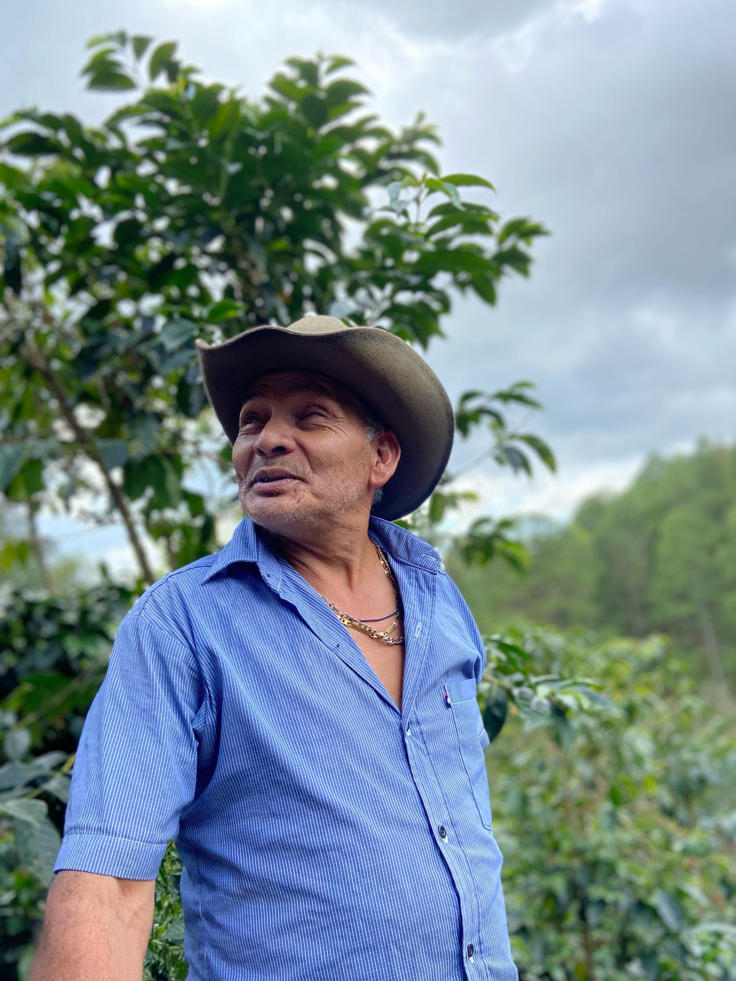 HONDURAS/Montecillos(Sueños de Semilla)